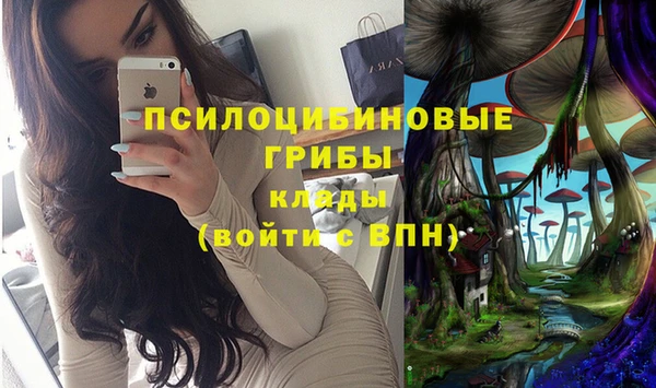 гидропоника Арсеньев