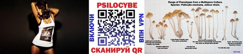 Купить Анжеро-Судженск Псилоцибиновые грибы ЛСД